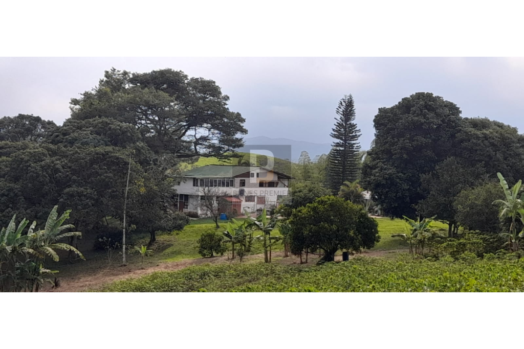Finca en Venta en Santander de Quilichao Cauca 11.200 m² | Casa campestre | Gran terreno para inversión