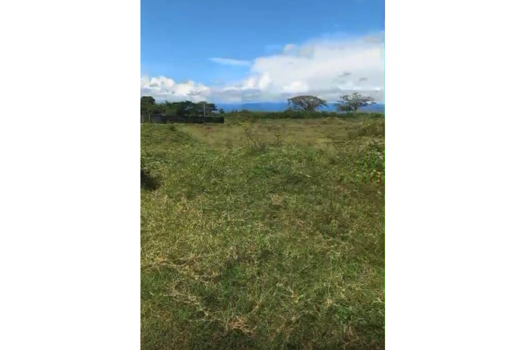 Lote en Venta en Tuluá Transversal 12 700 m² | Esquinero | Ideal para casa campestre o inversión | B