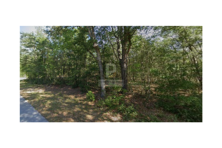 Lote en Venta en Ocala Florida 4653 m² | Inversión internacional | Terreno amplio en zona de crecimiento