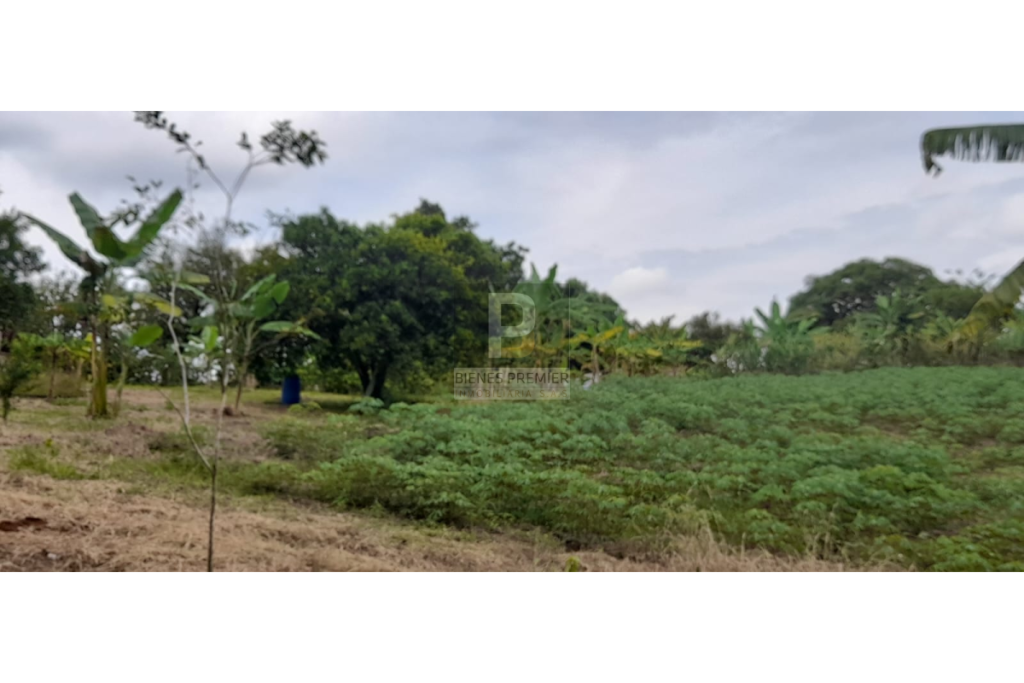 Finca en Venta en Santander de Quilichao Cauca 11.200 m² | Casa campestre | Gran terreno para inversión