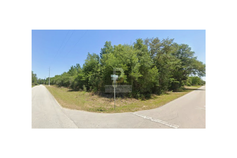 Lote en Venta en Ocala Florida 4653 m² | Inversión internacional | Terreno amplio en zona de crecimiento