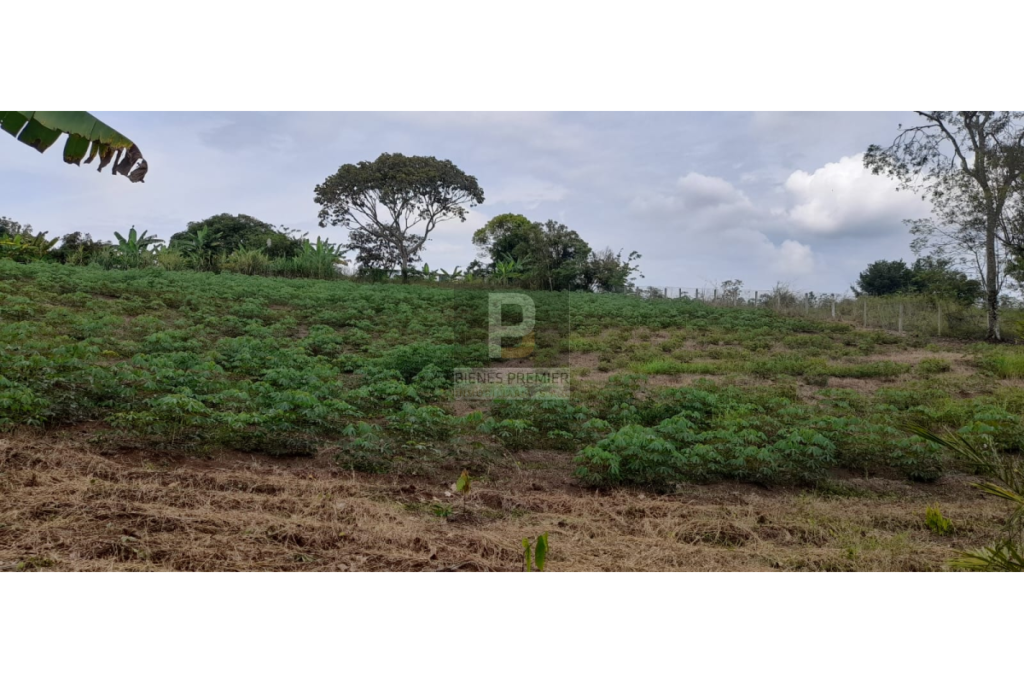 Finca en Venta en Santander de Quilichao Cauca 11.200 m² | Casa campestre | Gran terreno para inversión