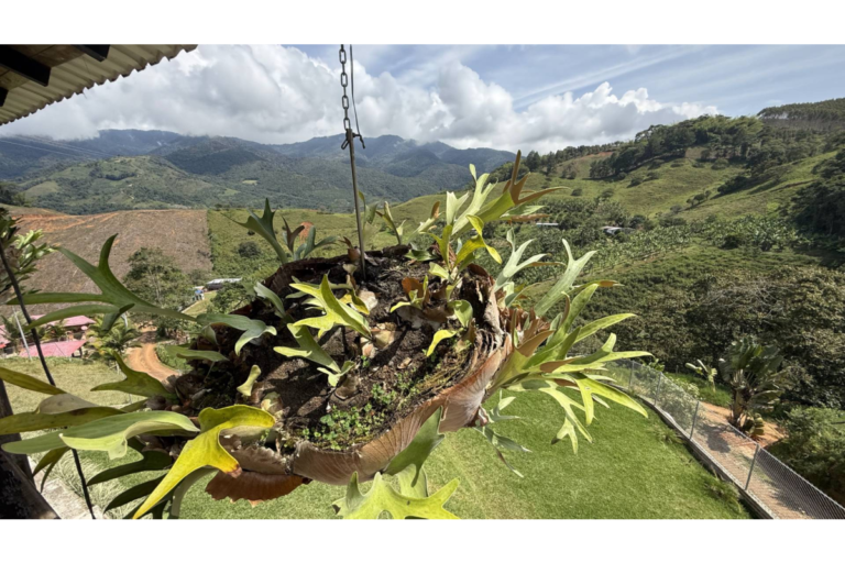 Casa Campestre en Arriendo en Lago Calima Calima Darién | Amoblada | Vista panorámica | Finca para descanso