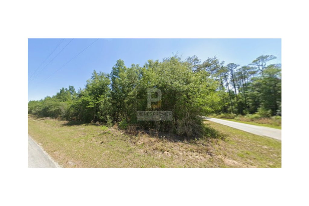 Lote en Venta en Ocala Florida 4653 m² | Inversión internacional | Terreno amplio en zona de crecimiento