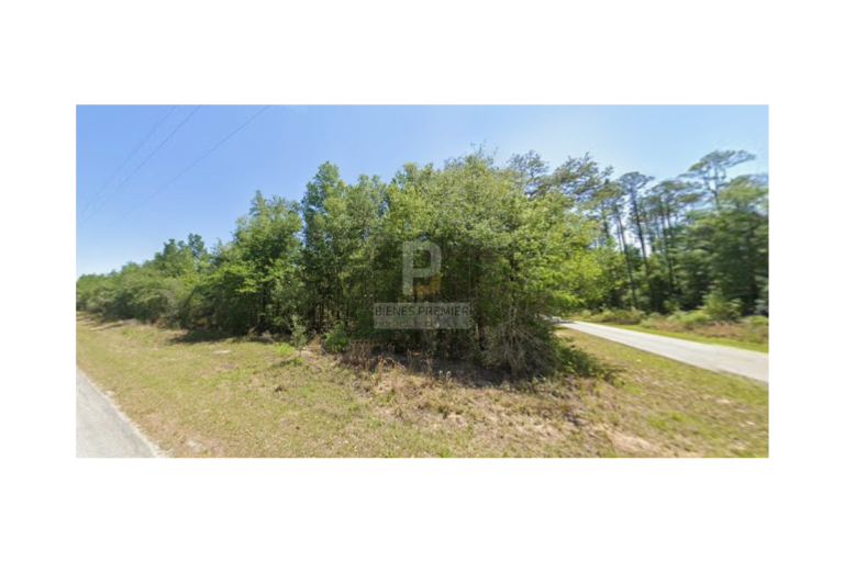 Lote en Venta en Ocala Florida 4653 m² | Inversión internacional | Terreno amplio en zona de crecimiento