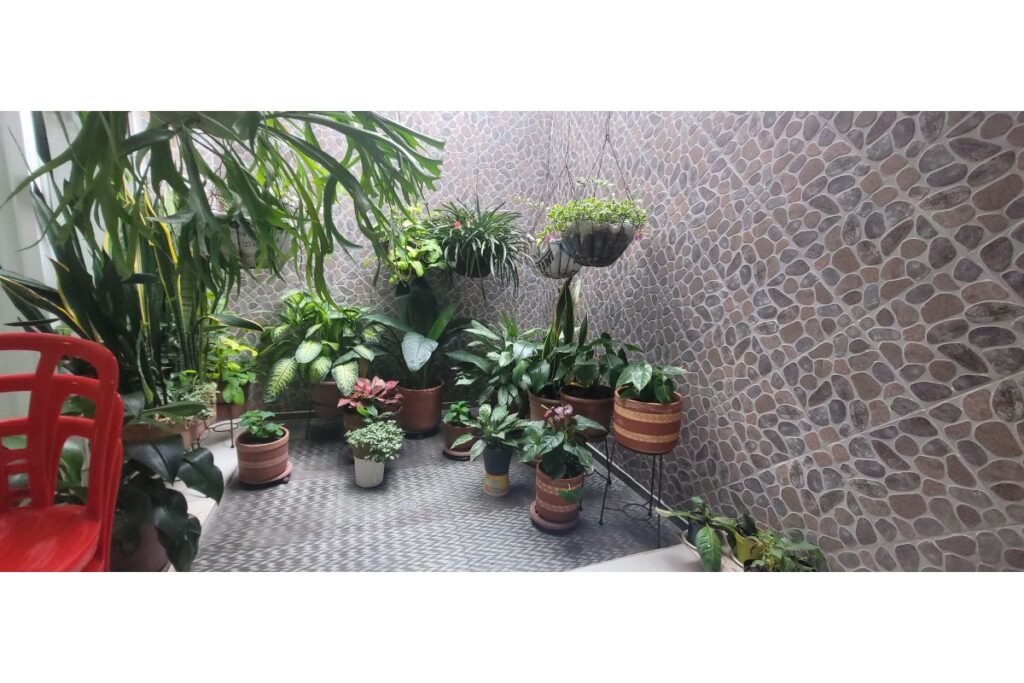 Casa en Venta en Santa Anita Cali | 209 m² | 5 Habitaciones | Garaje Doble | Unidad con Piscina