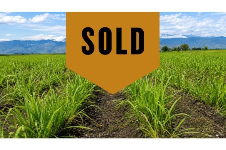 Hacienda Cañera en Venta en San Pedro Valle del Cauca | 371 Plazas | Producción 145 Ton/Ha | Riego y Pozos Propios
