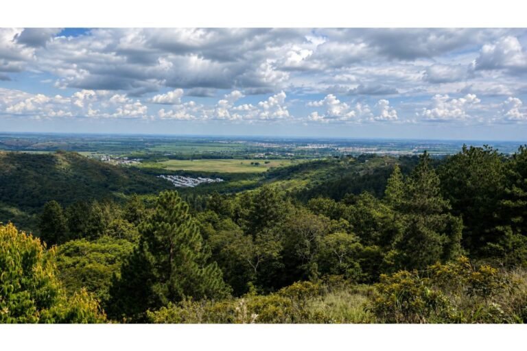Lotes Campestres en Venta en Alfaguara Jamundí | Desde 1.500 m² hasta 2.500 m² | Fase 0 de Lanzamiento con Alta Proyección de Valorización