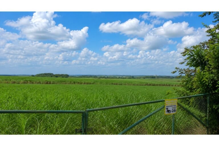 Hacienda Cañera en Venta en Palmira Valle del Cauca | 125 Plazas | Producción 150 Ton/Ha | Pozo Profundo y Riego Enterrado